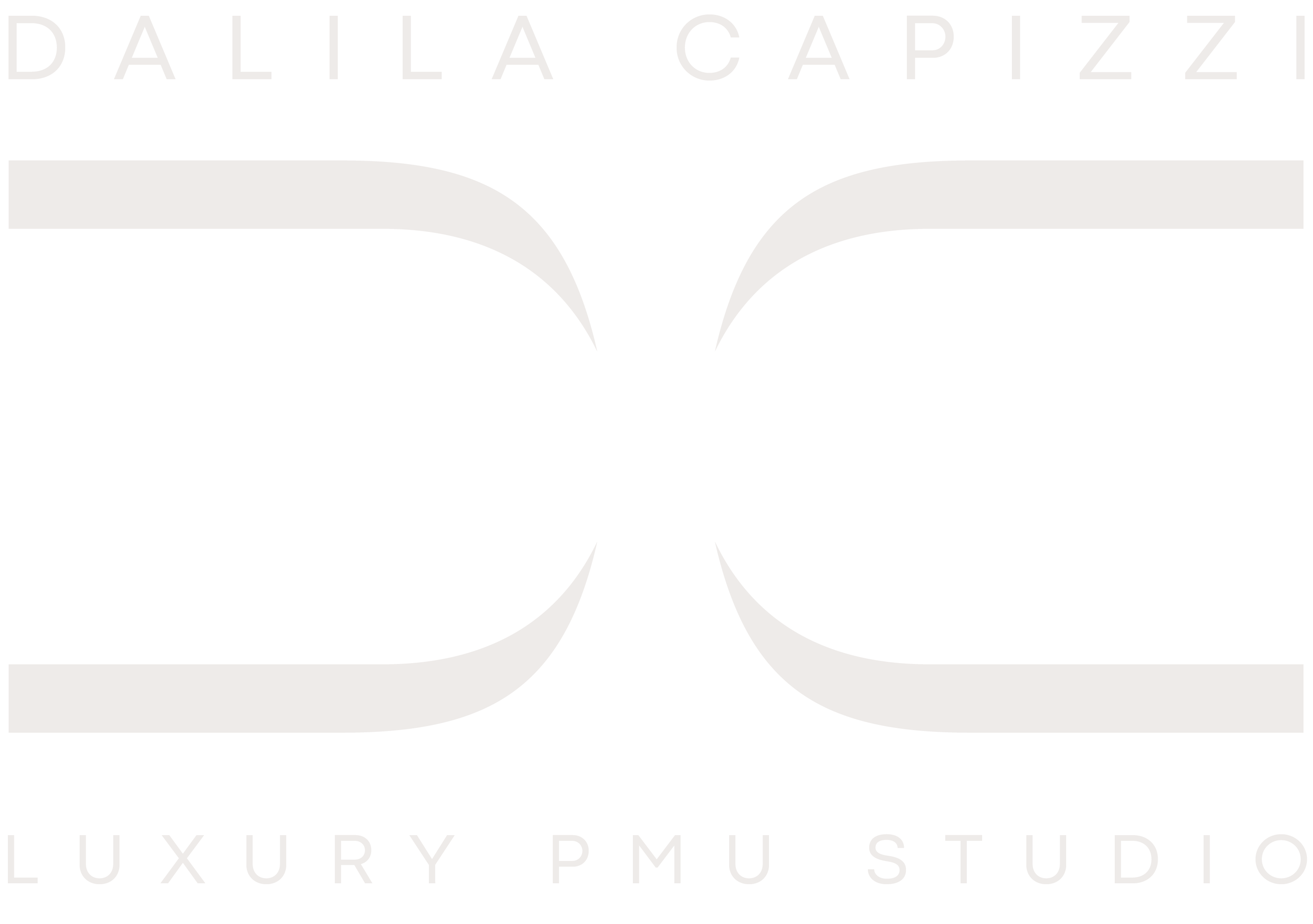 logo footer